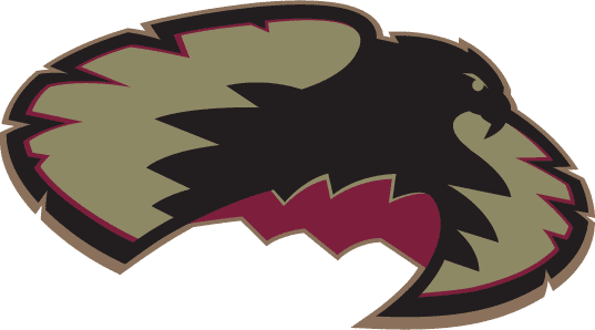 Denver Pioneers 1999-2006 Secondary Logo iron on transfers for clothing